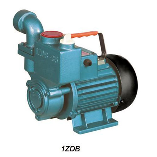 IZDBSeries PERIPHERAL PUMPS